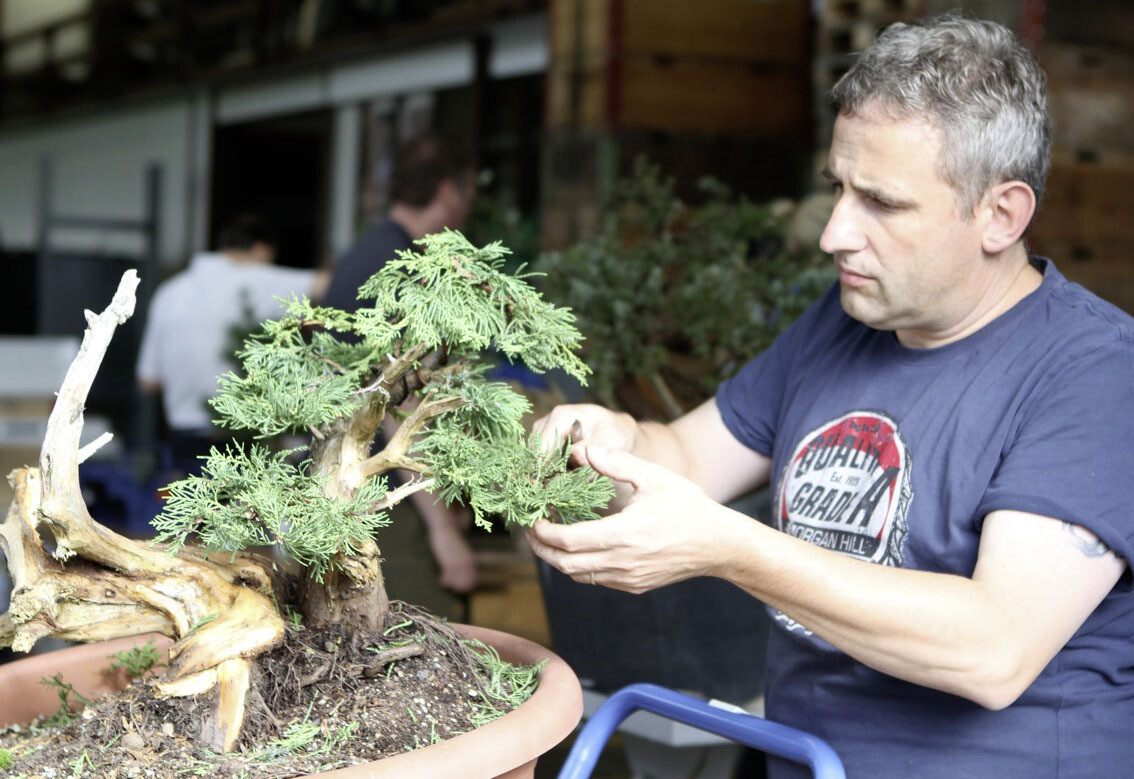 BIG Bonsai Workshop mit Jörg Derlien Schänis Schweiz